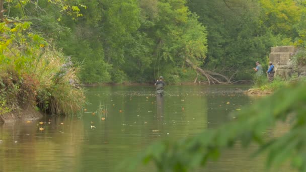 Homens Que Pescam Bronte Creek Provincial Park — Vídeo de Stock