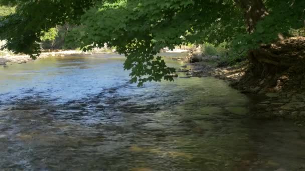 Bronte Creek Vista Panorâmica Hidrovia — Vídeo de Stock