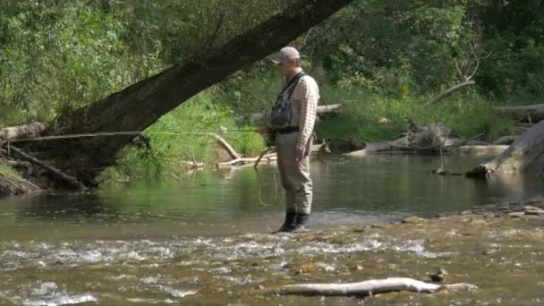 강에서 고기잡이하는 — 비디오