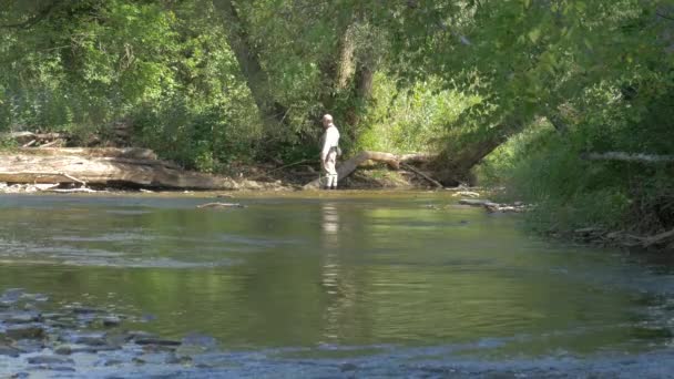 Pêche Homme Parc Provincial Bronte Creek — Video