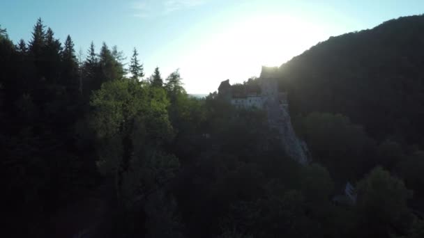 Luchtfoto Van Zon Schijnt Achter Bos Bran Castle — Stockvideo