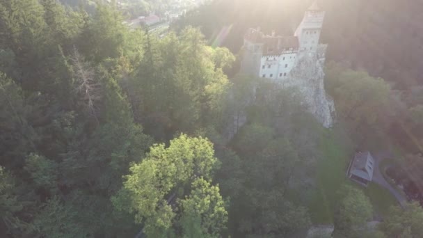森とブラン城の空中写真 — ストック動画