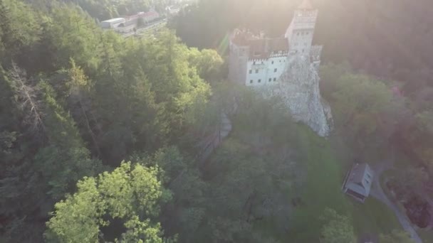 Antena Zamku Otrębów Jego Ogrodów Lasu — Wideo stockowe