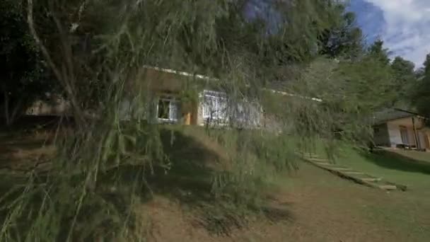 Σπίτι Περιτριγυρισμένο Από Δέντρα — Αρχείο Βίντεο