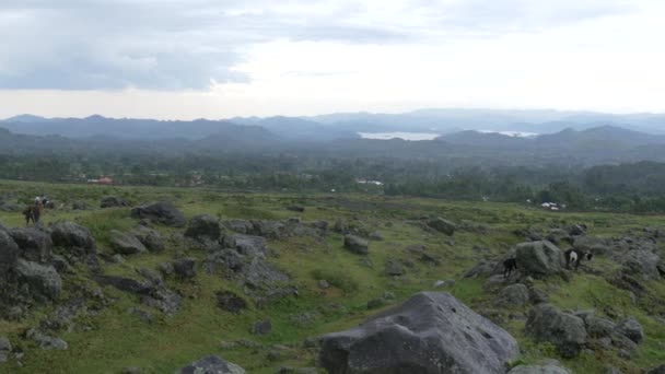 Panoramic View Rocky Field — Wideo stockowe