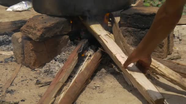 把木头放进火里 — 图库视频影像