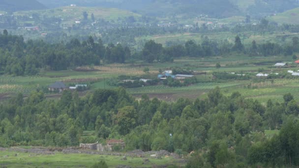 Paisaje Con Árboles Campos — Vídeo de stock