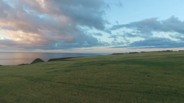 緑の土地 スコットランドの空中ビュー — ストック動画