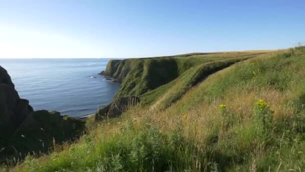 Die Nordseeküste Schottland — Stockvideo