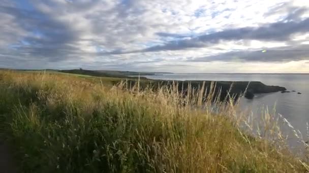 Die Nordseeküste Schottland — Stockvideo