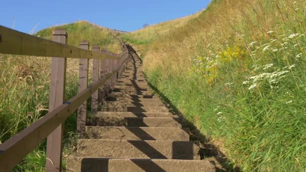 Escaleras Hormigón Hierba — Vídeo de stock