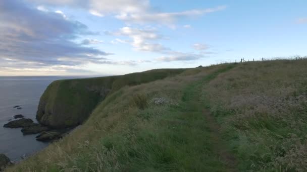 Green Fields North Sea Coastline — Stock Video