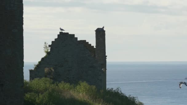 Dunnottar城の遺跡 — ストック動画