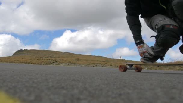 Vista Ángulo Bajo Longbaorders Caballo — Vídeo de stock