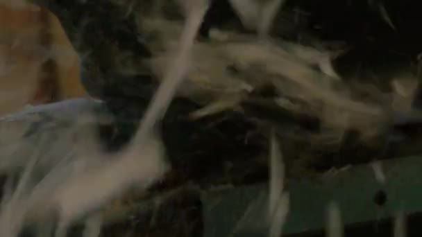 Makineden Düşen Odun Tozu — Stok video