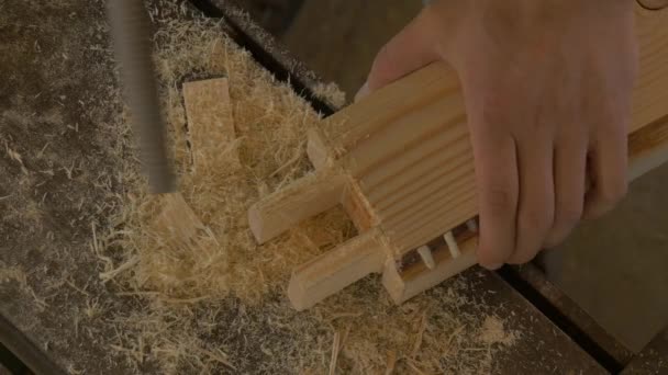 Ein Stück Holz Schnappen — Stockvideo