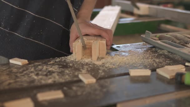 Raspear Madera Concepto Carpintería — Vídeo de stock