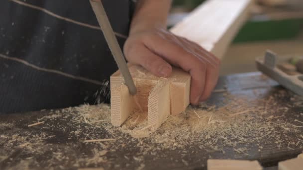 Close Carpenter Rasping Wood — Stock Video