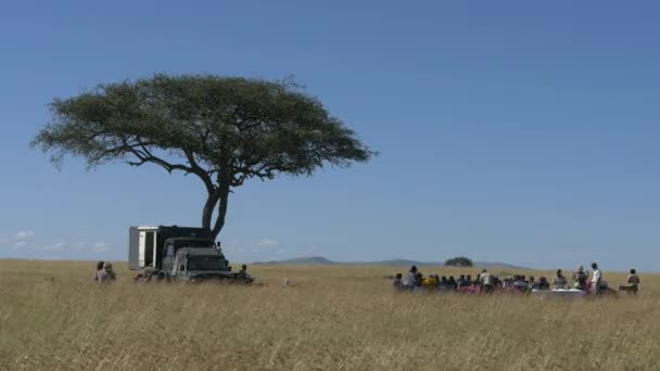 Personnes Assises Une Table Près Acacia — Video