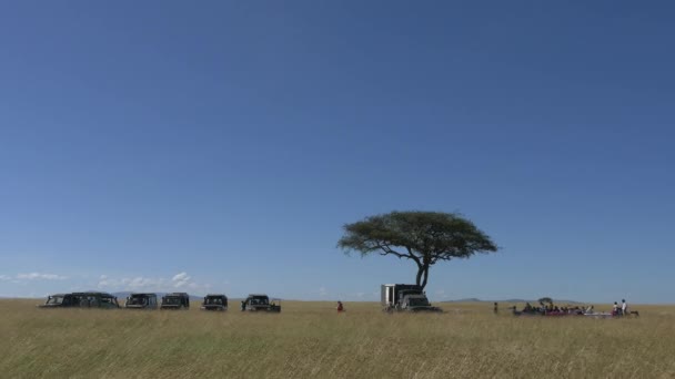 Gente Sentada Una Mesa Cerca Coches Safari — Vídeos de Stock