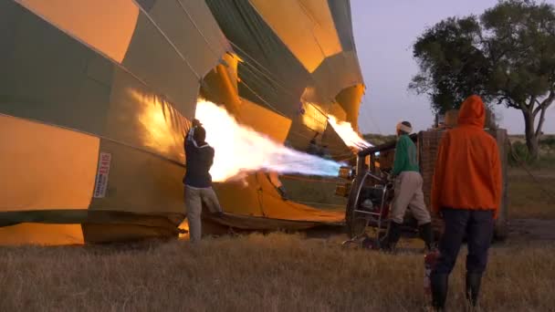 Hot Air Balloons Inflating — Stock Video