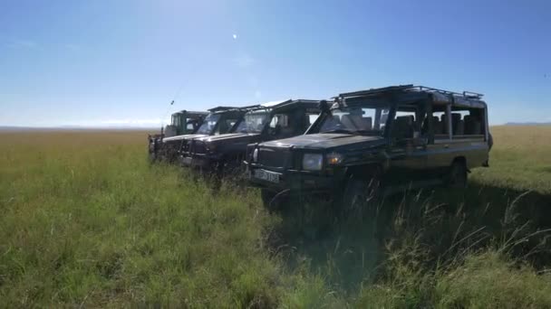Safari Jeeps Sunny Day — Stock Video