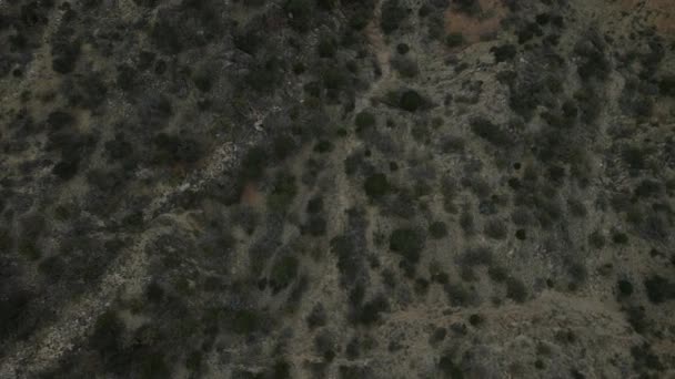 Aerial View Rocks Bushes Grand Canyon — Stock Video