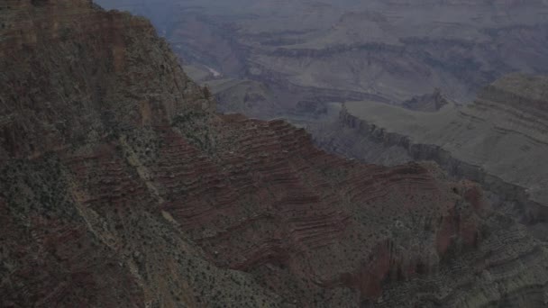 Grand Canyon Med Skiktade Klippor Med Växter — Stockvideo