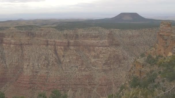 Grand Canyon Réteges Sziklákkal Növényekkel — Stock videók