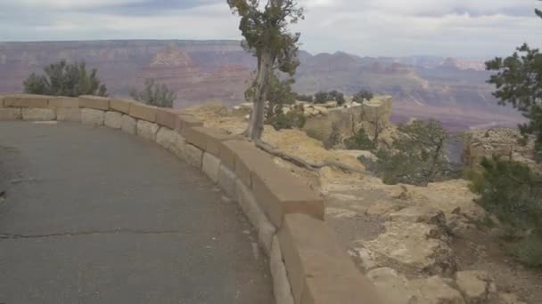 Grand Canyon Visto Lado Estrada — Vídeo de Stock