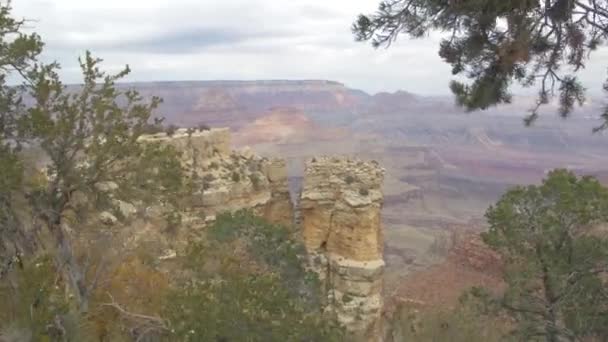 Grand Canyon Δει Μέσα Από Δέντρα Αριζόνα — Αρχείο Βίντεο