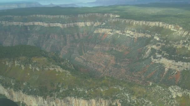 Floresta Perto Grand Canyon — Vídeo de Stock