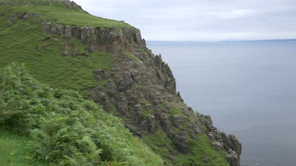 Skoçya Nın Kayalık Yeşil Bir Kıyı Şeridi — Stok video