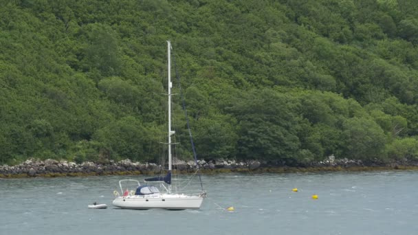緑の丘の近くに停泊する帆船 — ストック動画