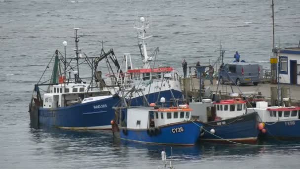 Barcos Ancorados Por Uma Doca — Vídeo de Stock