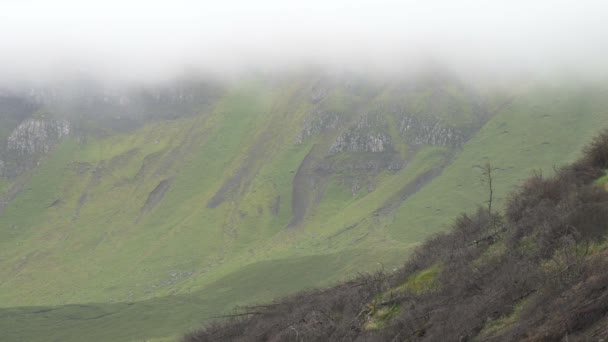 霧の山の斜面の眺め — ストック動画
