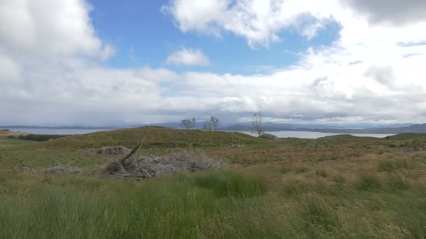 Ein Feld Auf Der Insel Skye — Stockvideo