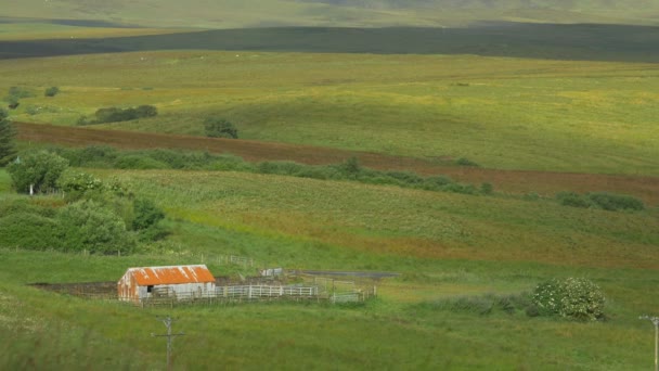 Vieux Bâtiment Sur Une Prairie Verte — Video