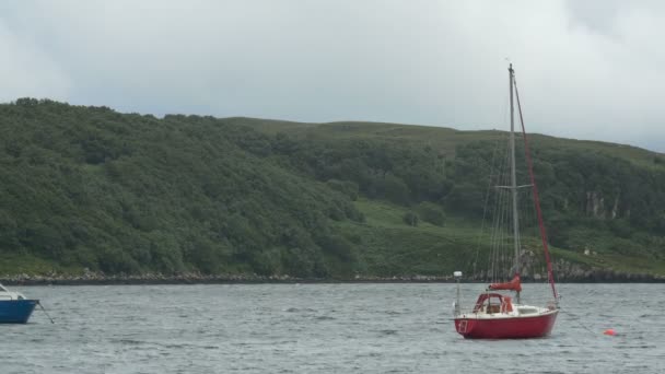 Red Boat Moored Lake — Stock Video