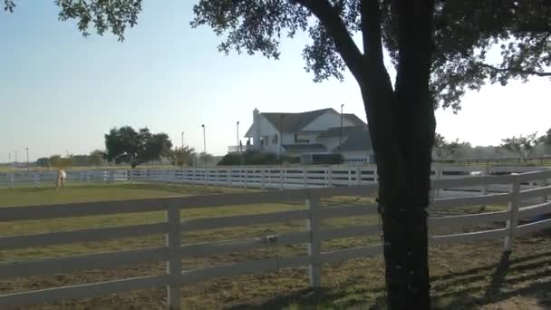 Corrales Caballos Rancho Southfork — Vídeos de Stock