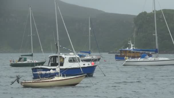 Sailboats Anchored Harbor — Stock Video