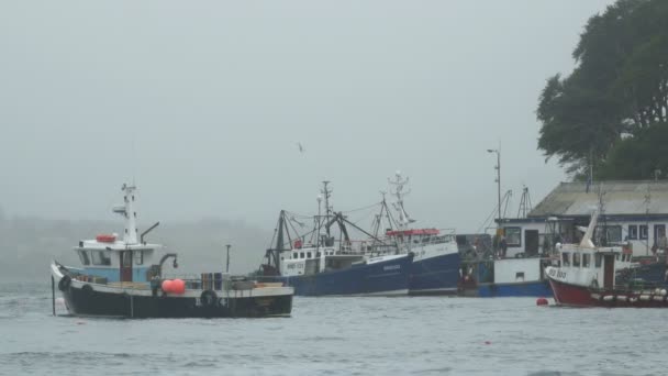 Fishing Boats Anchored Harbor — Stock Video