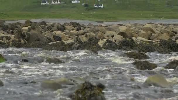 마을을 흐르는 강물의 수위가 올라가다 — 비디오
