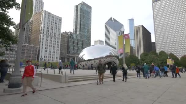 Turyści Odwiedzający Bean Chicago Stany Zjednoczone Ameryki — Wideo stockowe