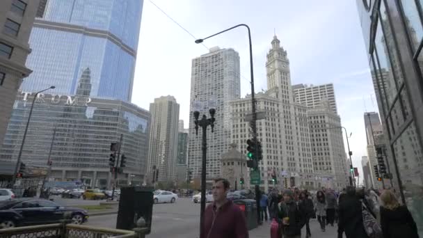 Wrigley Building Chicago Stati Uniti America — Video Stock
