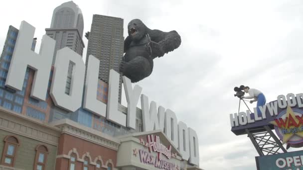 Hollywood Wax Museum Med King Kong Branson — Stockvideo
