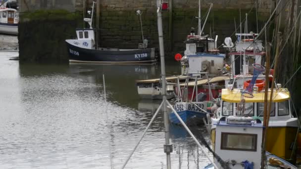 Andrews Harbour Andrews Scotland — Stock Video