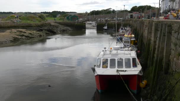 Barcos Kinness Burn — Vídeo de stock