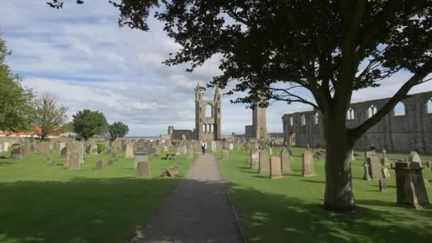 Gasse Auf Einem Friedhof — Stockvideo