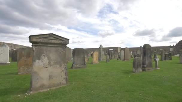 Pedras Tumulares Grama Verde Cemitério — Vídeo de Stock